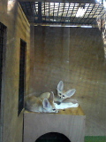 b0119950_327840.jpg