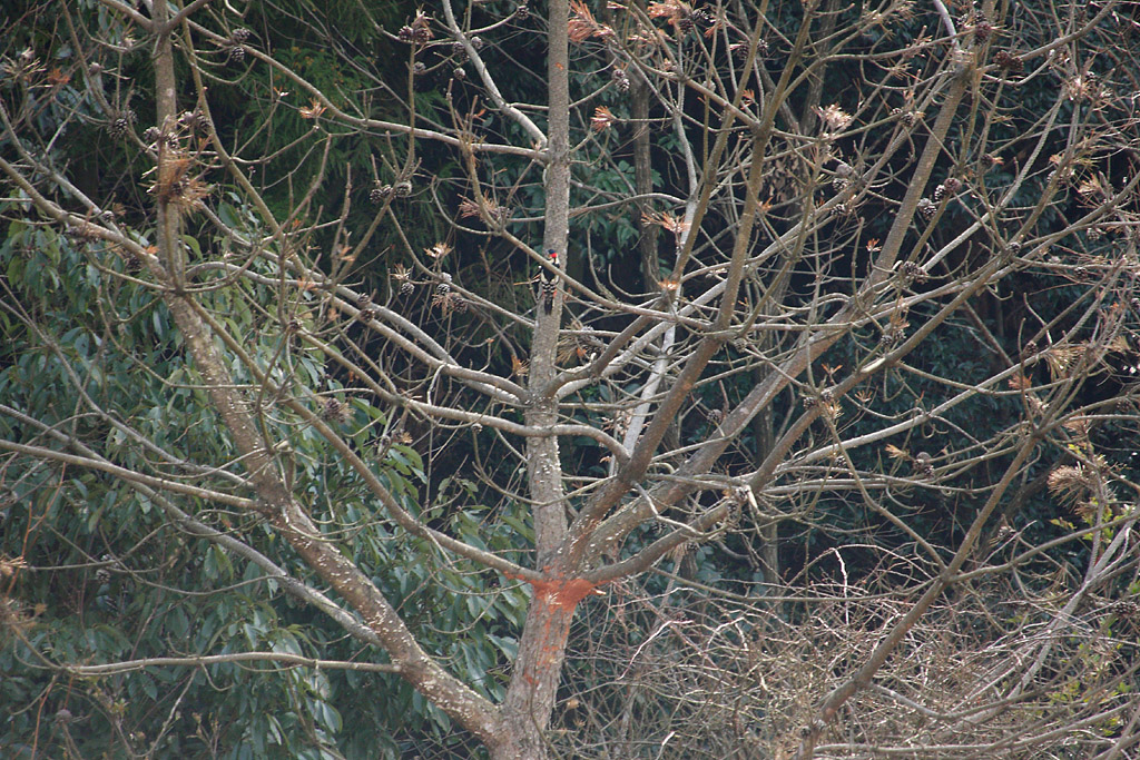 d0148060_13535139.jpg