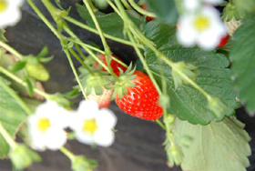 f0016868_18134081.jpg