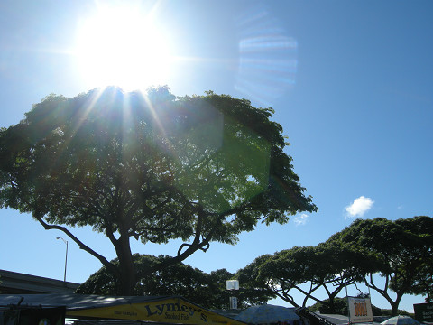f0186368_0592359.jpg