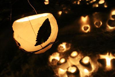 f0021369_2331555.jpg