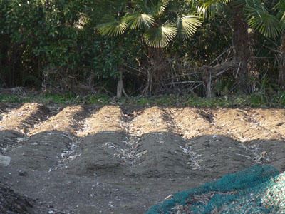 f0086169_2153471.jpg