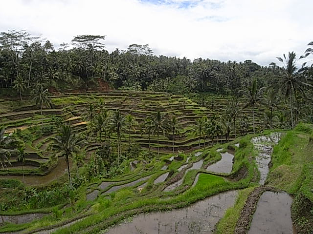 e0078071_223385.jpg