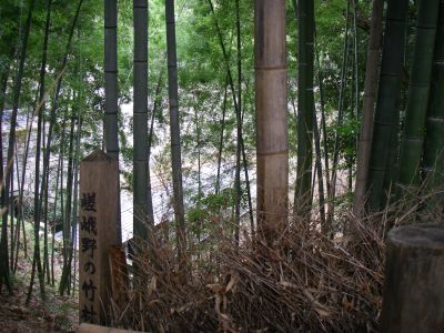 e0143671_12225894.jpg