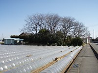 b0004675_22321852.jpg