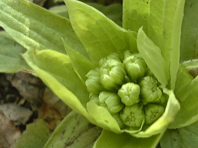 f0039281_21253254.jpg