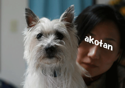 e0066883_0394171.gif