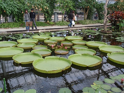 c0105785_15171273.jpg
