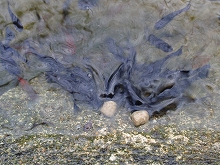 c0105785_15211943.jpg