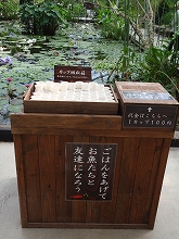 c0105785_1521887.jpg