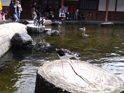 c0105785_15361317.jpg