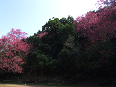 e0028387_22303582.jpg