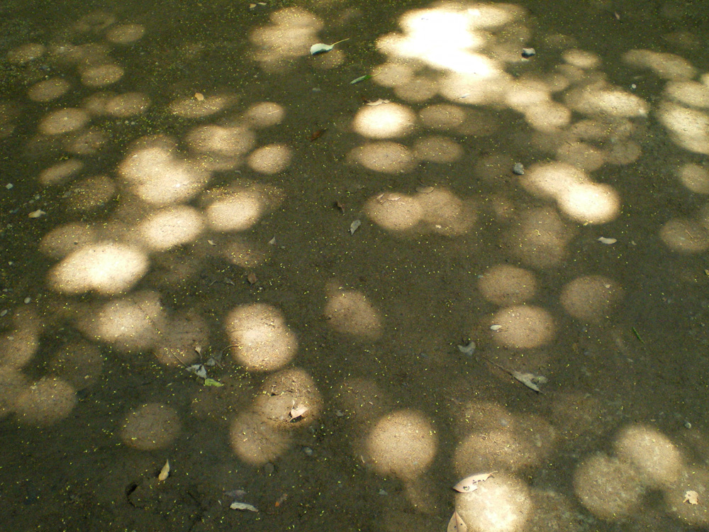 d0127292_226758.jpg