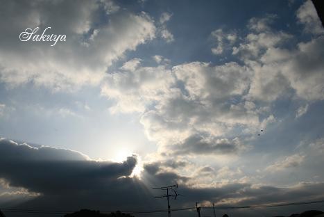 e0122194_216297.jpg
