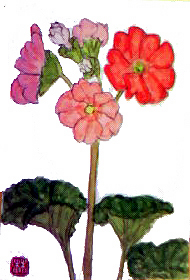 f0008597_22151930.jpg