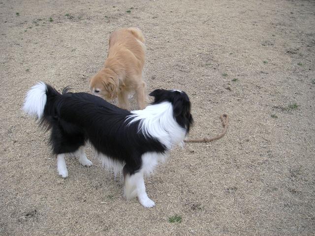 f0034602_11142331.jpg