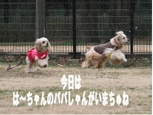 c0128303_23255100.gif