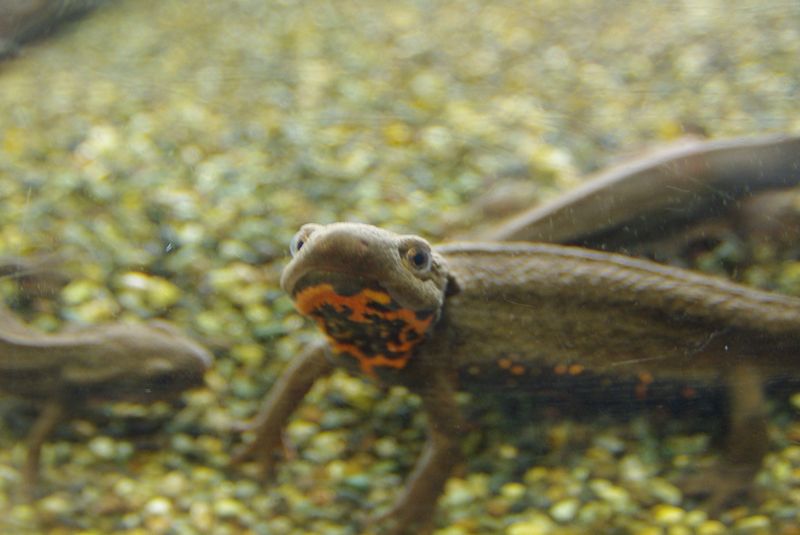c0187503_17241298.jpg