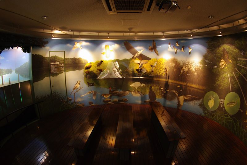 c0187503_1728470.jpg