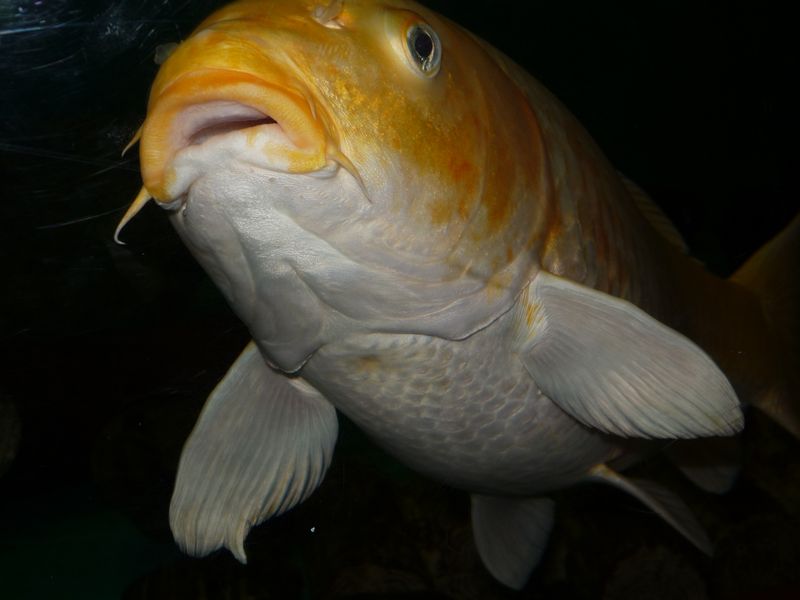 c0187503_17291149.jpg