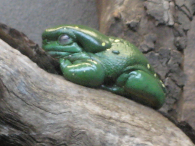 b0129705_22351427.jpg