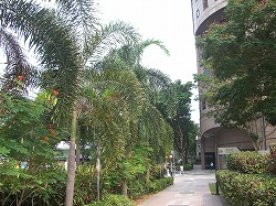 c0148705_20201825.jpg