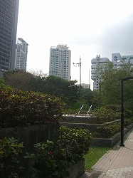 c0148705_2020745.jpg