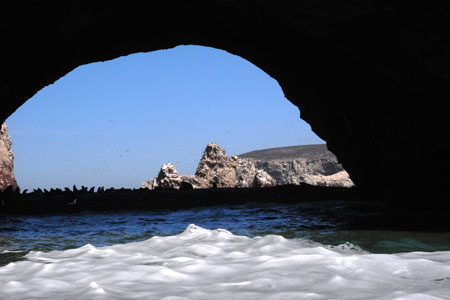 c0026612_917268.jpg