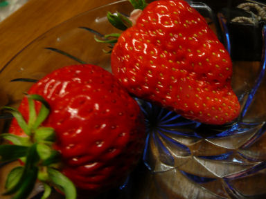 c0146714_1284272.jpg