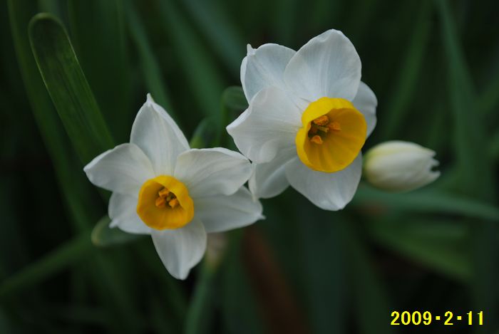 f0183814_17334428.jpg