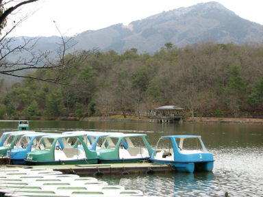 f0054428_5115867.jpg