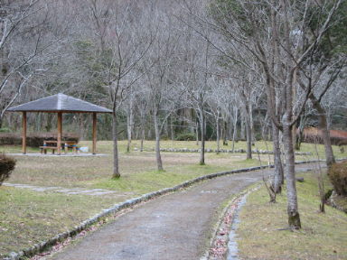 f0054428_563348.jpg