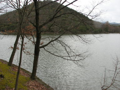 f0054428_585070.jpg