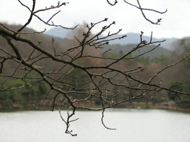 f0054428_58612.jpg