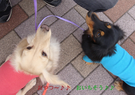 c0117831_21185158.jpg