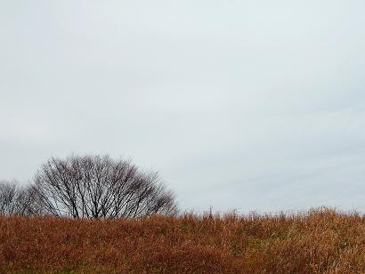b0072234_10512719.jpg