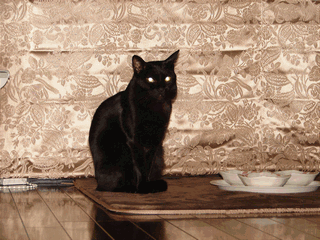 c0136736_18291131.gif