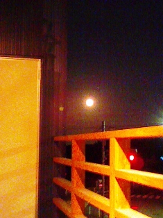 d0124543_14535831.jpg