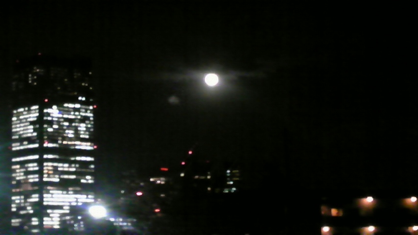 b0139547_3364273.jpg