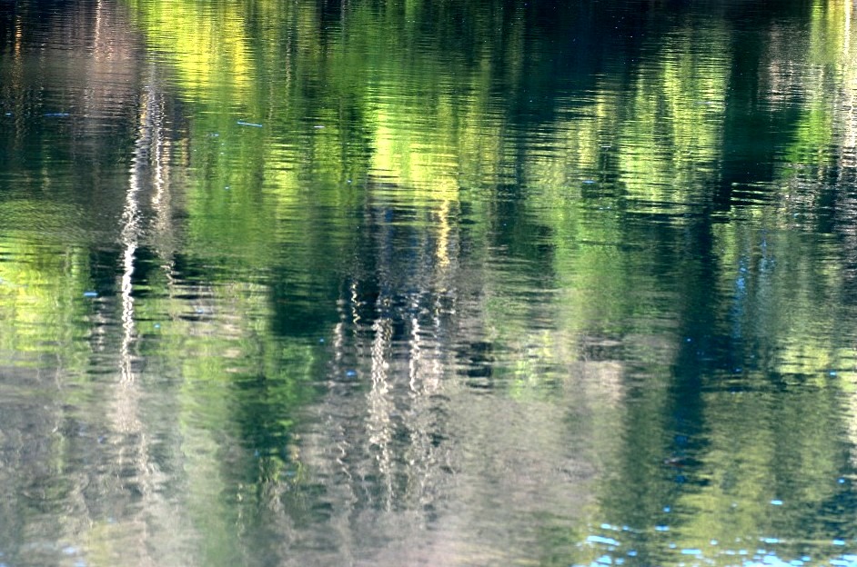 e0009147_9552527.jpg