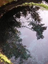 e0022948_1844750.jpg
