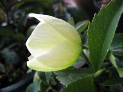 c0147952_21462158.jpg