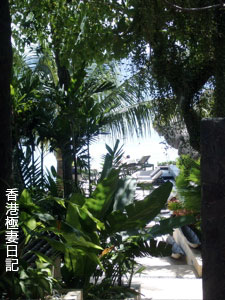 f0190653_18121215.jpg