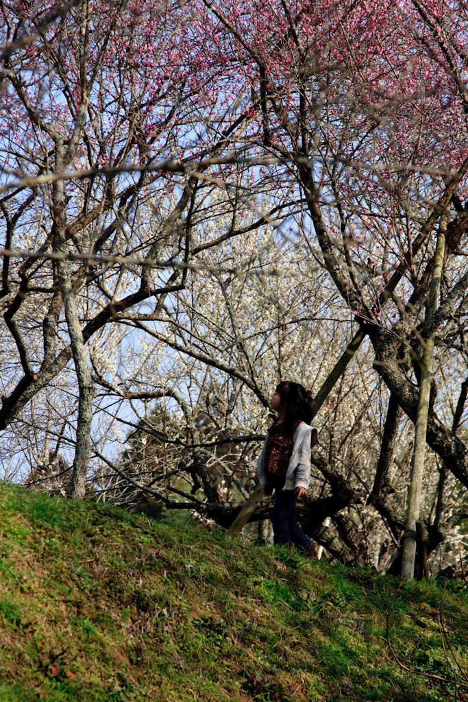 b0032262_2055189.jpg