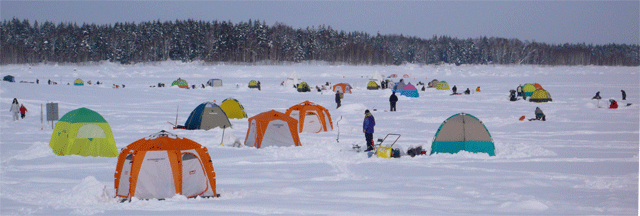 f0163063_15452526.gif