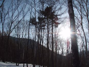 f0045872_1251974.jpg