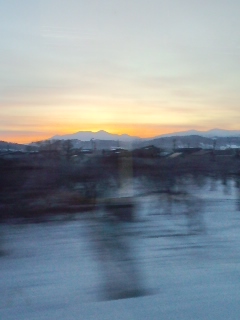 b0100973_742683.jpg