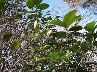 b0004675_22271832.jpg