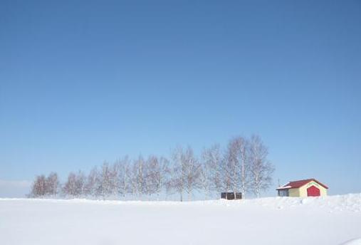 c0175679_10293668.jpg