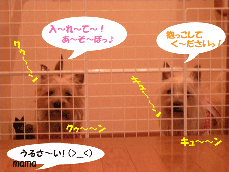 e0066883_23473196.gif